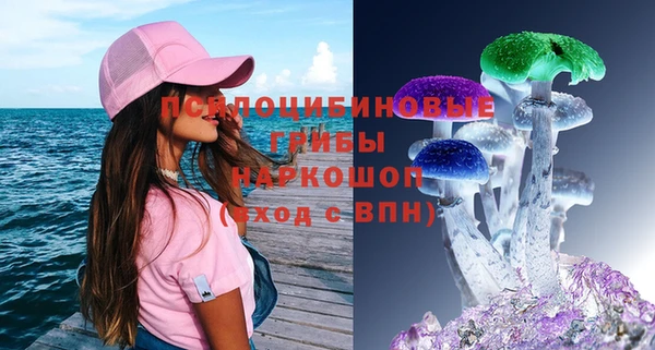 мдпв Осташков