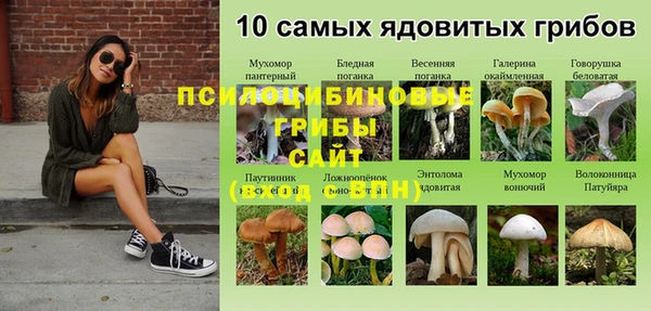 МДПВ Осинники