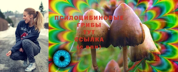 мдпв Осташков