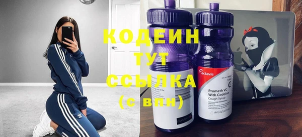 мдпв Осташков